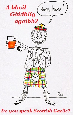 Essential Scottish Gaelic Phrasebook