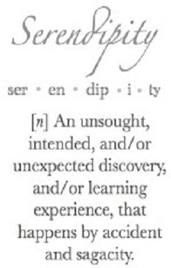 Words R Us Serendipity Pack