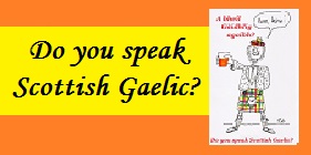 Essential Scottish Gaelic / English Phrasebook